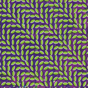 My Girls - Animal Collective | Song Album Cover Artwork