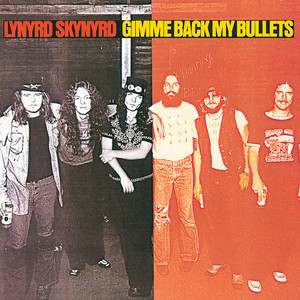 Searching - Lynyrd Skynyrd | Song Album Cover Artwork
