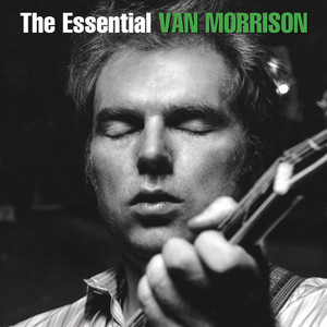 Wild Night - Van Morrison | Song Album Cover Artwork