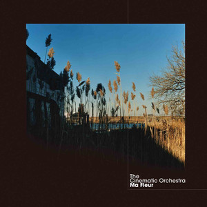 Familiar Ground - The Cinematic Orchestra | Song Album Cover Artwork