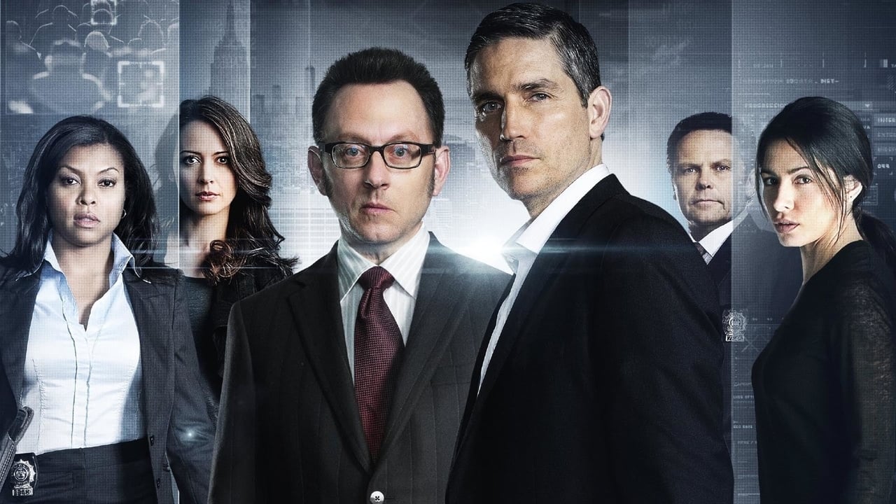 Person of Interest - TV Banner