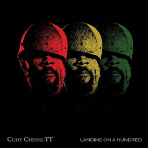 Don't Wanna Go the Other Way - Cody ChesnuTT | Song Album Cover Artwork