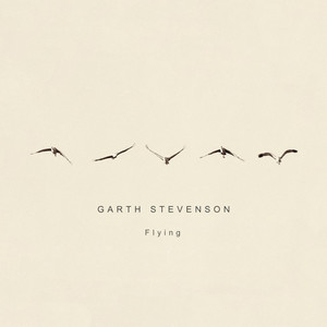 The Southern Sea - Garth Stevenson
