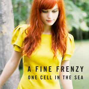 Lifesize A Fine Frenzy | Album Cover