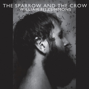 I Don't Feel It Anymore (Song Of The Sparrow) - William Fitzsimmons