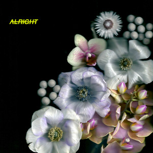 Alright - Alpines | Song Album Cover Artwork