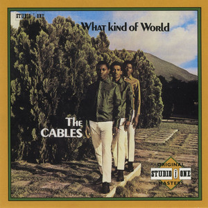 Baby Why The Cables | Album Cover