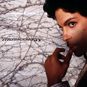 Musicology Prince | Album Cover