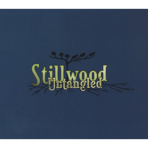 Runaround - Stillwood | Song Album Cover Artwork