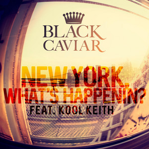 New York, What's Happenin'? - Black Caviar