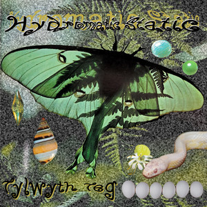 Tightly Strung - Tylwyth Teg | Song Album Cover Artwork