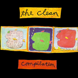 Anything Could Happen - The Clean