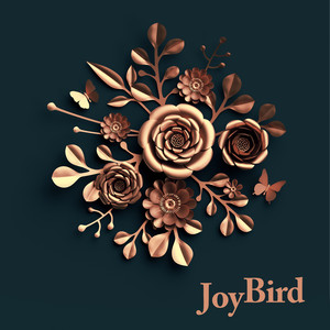 Levels - Joybird | Song Album Cover Artwork