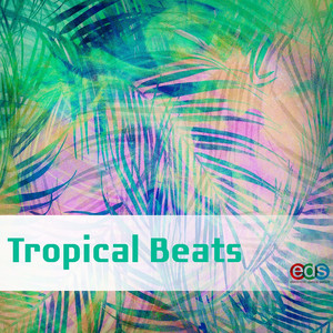 Tropical Sunrise - Oscar Hill | Song Album Cover Artwork