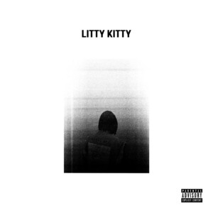 Bad Bitches - Litty Kitty | Song Album Cover Artwork