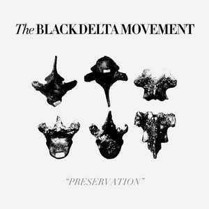 Ivory Shakes - The Black Delta Movement