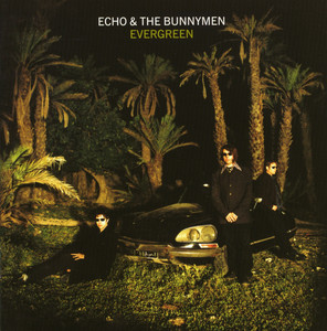 I Want to Be There (When You Come) Echo & The Bunnymen | Album Cover
