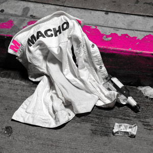Macho - The Gods of Macho | Song Album Cover Artwork