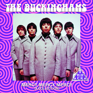 Mercy, Mercy, Mercy - The Buckinghams | Song Album Cover Artwork