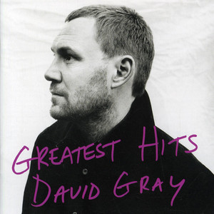 Please Forgive Me David Gray | Album Cover