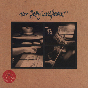 You Don't Know How It Feels - Tom Petty | Song Album Cover Artwork