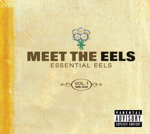 I Need Some Sleep - Eels | Song Album Cover Artwork