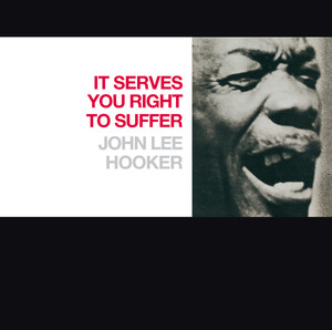 It Serves You Right To Suffer John Lee Hooker | Album Cover