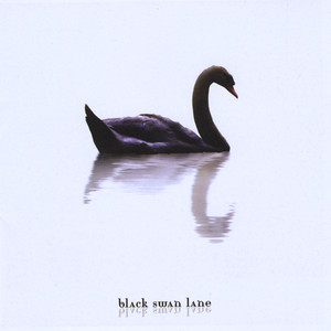 In The Ether - Black Swan Lane | Song Album Cover Artwork