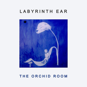 Amber - Labyrinth Ear | Song Album Cover Artwork