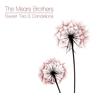 Power of Positive Drinking - The Mears Brothers | Song Album Cover Artwork