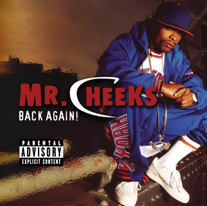 Back Again - Mr. Cheeks | Song Album Cover Artwork