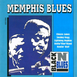 Dust My Blues - Elmore James | Song Album Cover Artwork