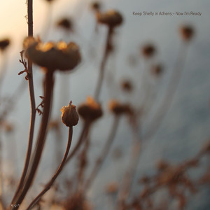 Fractals - Keep Shelly In Athens | Song Album Cover Artwork