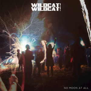 Hero - Wildcat! Wildcat! | Song Album Cover Artwork