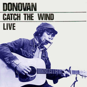 Catch the Wind - Donovan | Song Album Cover Artwork