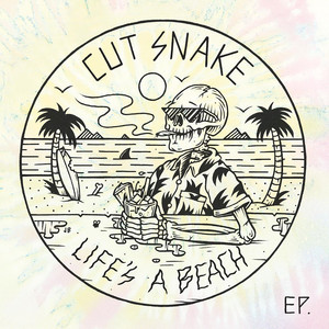 Santa Monica - Cut Snake | Song Album Cover Artwork