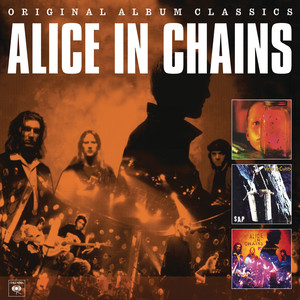 Rooster - Alice in Chains | Song Album Cover Artwork