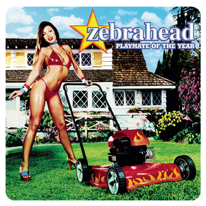 Playmate Of The Year - Zebrahead  | Song Album Cover Artwork