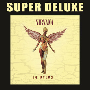 Heart-Shaped Box - Nirvana | Song Album Cover Artwork