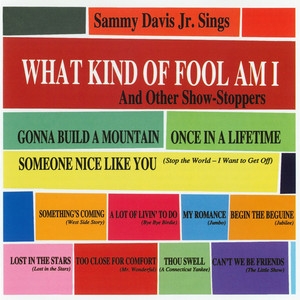 Gonna Build a Mountain - Sammy Davis, Jr. | Song Album Cover Artwork