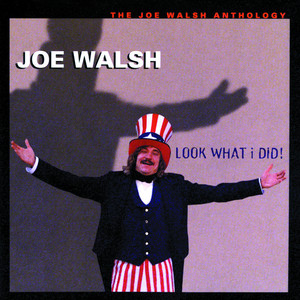 A Life of Illusion - Joe Walsh | Song Album Cover Artwork