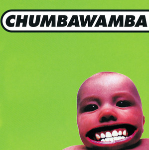 Tubthumping - Chumbawamba | Song Album Cover Artwork