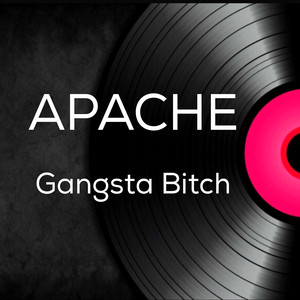 Gangsta Bitch (feat. Apache) - Apache | Song Album Cover Artwork