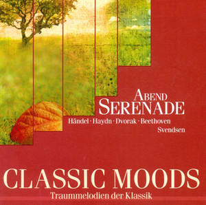 Serenade in E major, Op. 22, B. 52: IV. Larghetto - Peter Wohlert & Berlin Chamber Orchestra | Song Album Cover Artwork