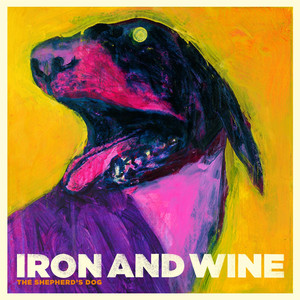 Innocent Bones - Iron & Wine | Song Album Cover Artwork