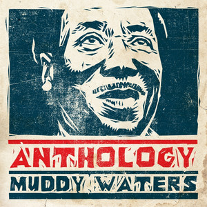 I Feel Like Going Home - Muddy Waters