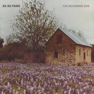 These Days Xu Xu Fang | Album Cover