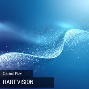 Criminal - Vision Vision | Song Album Cover Artwork
