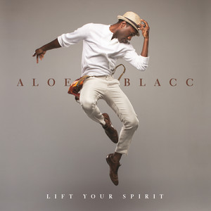 Love Is The Answer - Aloe Blacc