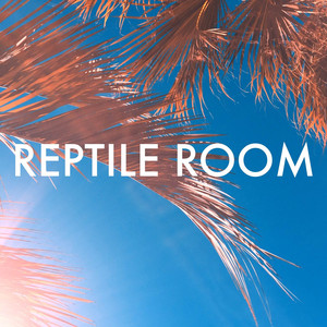 Lights Reptile Room | Album Cover